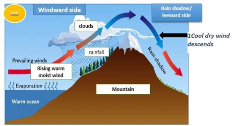 Geography Easy Elearning Types Of Rainfall