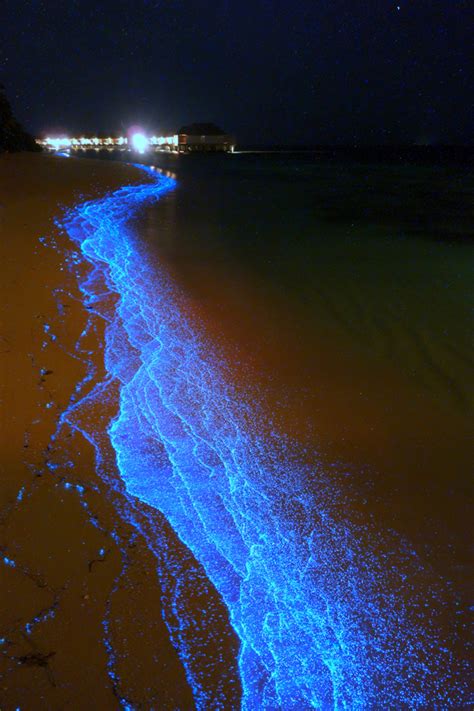 A Maldives Beach Awash In Bioluminescent Phytoplankton Photography By