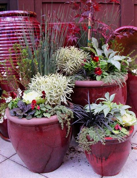 952 Best Images About Container Gardening On Pinterest Succulent