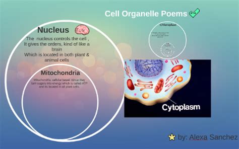 You usually share common characteristics with that animal or feelings. Cell Organelle Poems by Julissa Sanchez on Prezi