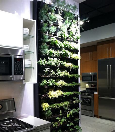 Herb Garden In The Kitchen Pictures Photos And Images