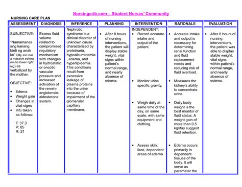 Nursing Nursing Care Plan Ncp Nanda Nursing Care Plan Examples Images And Photos Finder