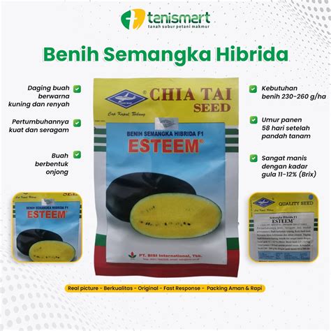 Jual Benih Semangka Hibrida F Esteem Chia Tai Seed Cap Kapal Terbang