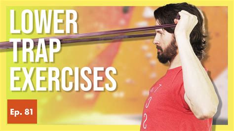 12 Lower Trap Exercises For Climbers Beginner To Expert — Hoopers Beta