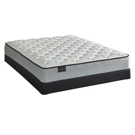 Follow our cheap twin mattress guide and choose a perfect match for you and your wallet! Buy Honor Plush Twin Mattress & Low Profile Boxspring ...