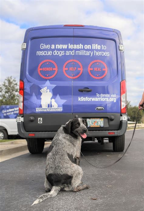 San antonio mayor ivy r. K9s For Warriors and City of San Antonio Animal Care ...