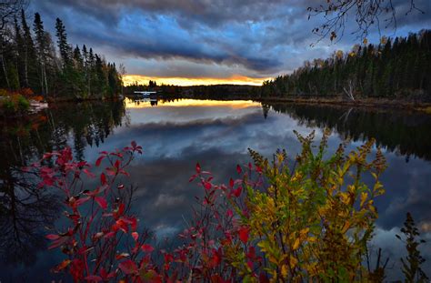 무료 이미지 경치 나무 자연 숲 황야 산 구름 해돋이 일몰 햇빛 아침 잎 꽃 호수 새벽 강 황혼