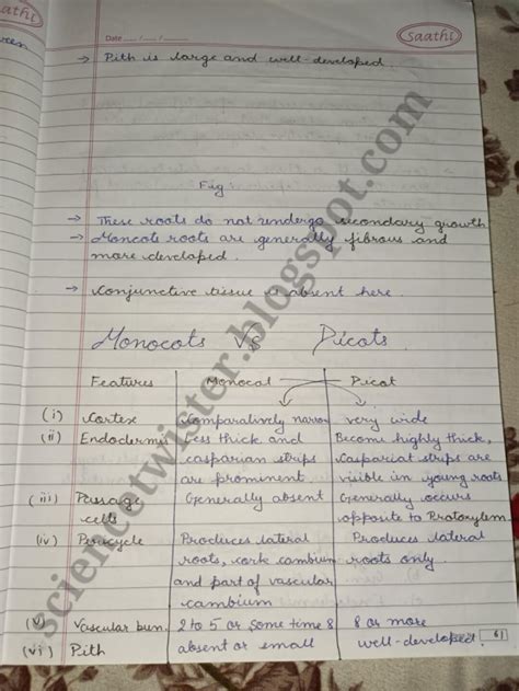 Anatomy Of Flowering Plants Class 11 Notes Biology Kota Notes