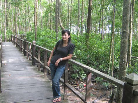 Experience one night stay in the jungle, river crossing, trekking into deep jungle, outdoor. RikoShe..: Taman Negara Johor ~ Tanjung Piai