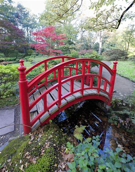 49 Backyard Garden Bridge Ideas And Designs Photos Modern Japanese