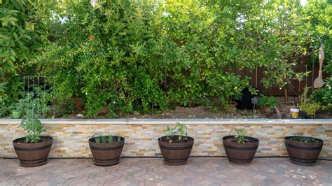 5 Steps To Create A Successful Container Vegetable Garden