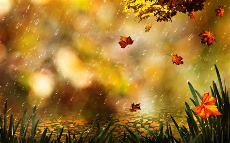 Autumn Rain Desktop Background Wallpapers Hd Free 574271 Autumn
