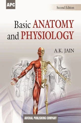 Basic Anatomy And Physiology By Dr Ak Jain At Rs 495piece B Block