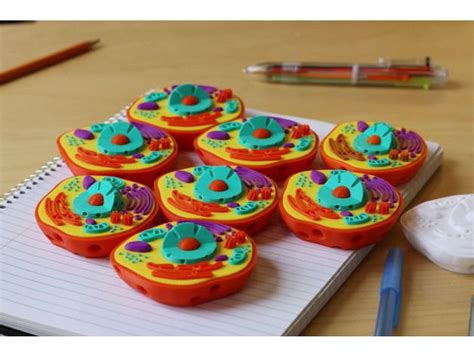 We did not find results for: Multi-Color Mini Animal Cell by MosaicManufacturing ...