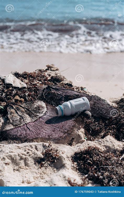 Plastic Trash And Algae On The Sandy Beach Stock Image Image Of Litter Beach