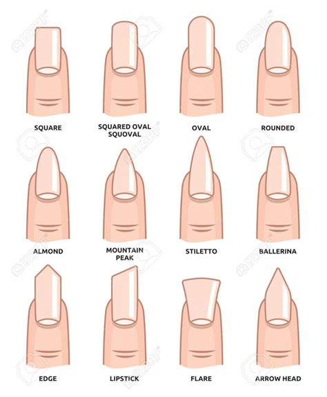 Formas De Uñas Para Tipos De Dedos Nagelformen Fingernägel Bilder