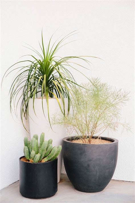 Botanical gardens exist to teach people about plants—how to identify, display, and use them for medicinal purposes—and historians and. our modern patio makeover - A House in the Hills | Large ...