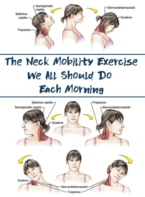 Neck Mobility Exercises We All Should Do Each Morning The Health