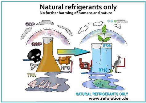 Natural Refrigerants Only W T