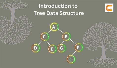Introduction To Tree Data Structure Coding Ninjas