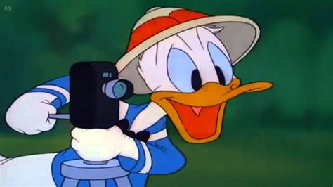 16 Nieuwe Filmpjes Toegevoegd Aan Donald Duck Kinderfilmpjes