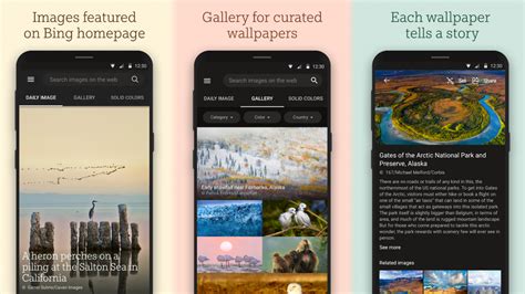 How To Set Bing Daily Photos As Wallpaper On Your Android