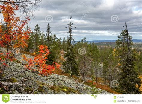 Beautiful Autumn Landscape In Lapland View From Mountain