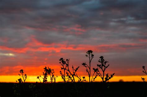Free Images Horizon Cloud Sunrise Sunset Field Prairie Dawn