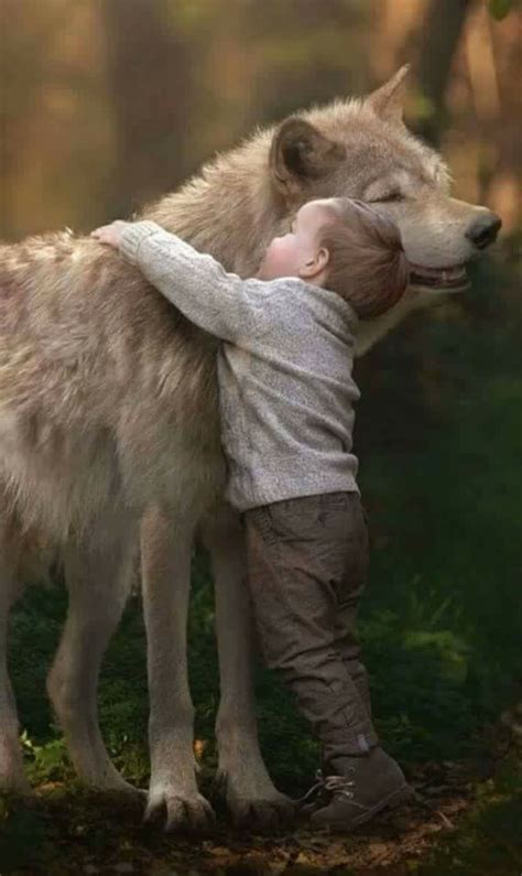 The Wolf Adopted This Baby Boy And Brought Him Up с изображениями