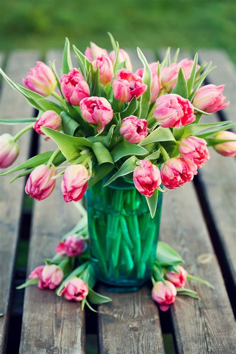 Pink Tulips Bouquet Of Beautiful Pink Tulips In Vase Tulips In Vase