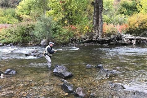 🎣 When Is Fly Fishing Season The Ultimate Guide Fly Fishing Fix