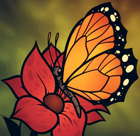 Https://flazhnews.com/draw/how To Draw A Butterfly And Flower