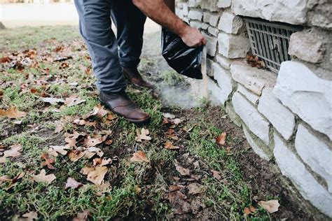 The ecofriendly pest control is well prepared for each and every pest problem. First Saturday Lime. Natural Pesticide. Pest Control. Just ...