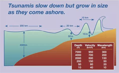 The wave crashed against the opposite shoreline and ran upslope to an elevation of 1720 feet, removing trees and vegetation the entire way. How high can tsunami waves get? - Quora