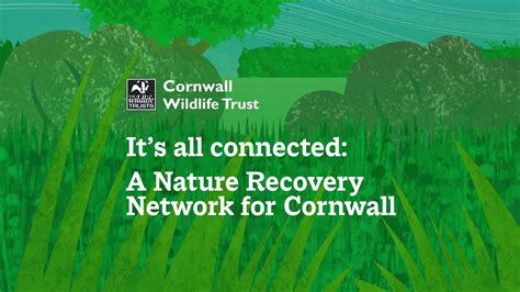 Its All Connected A Nature Recovery Network For Cornwall Youtube