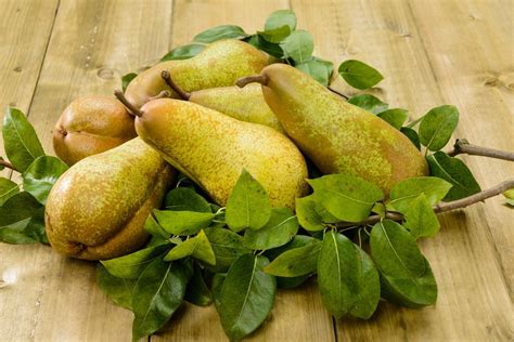 42 Rezepte zu Birnen
