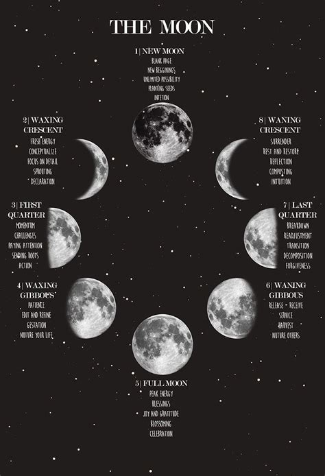 Cycling Moon Phase Poster Lunar Phases And Meanings Space Poster