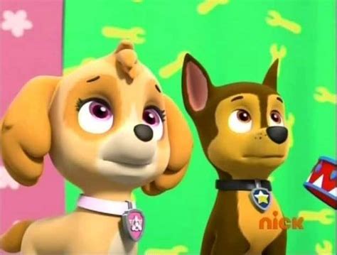 Chase X Skye Paw Patrol Animated Couples Photo 40110279 Fanpop