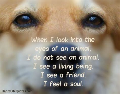 But in the ring there is an animal inside me. When I look into the eyes of an animal, I do not see an ...