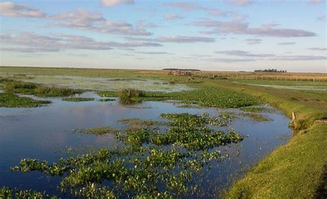 New Reserve Created In The Iberá Wetlands Corrientes Province