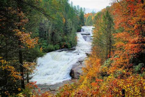 Dupont State Forest Waterfall And Hiking Guide