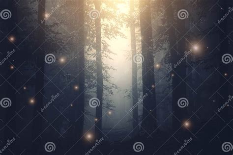 Magical Fantasy Fairy Lights In Enchanted Forest With Fog Stock Image