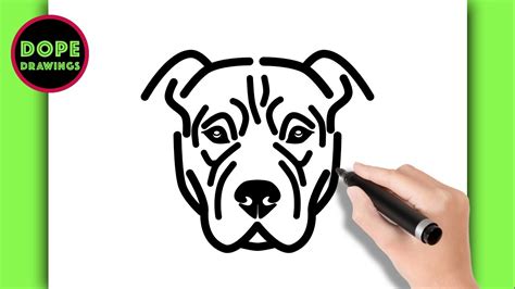 How To Draw A Pitbull Face Easy