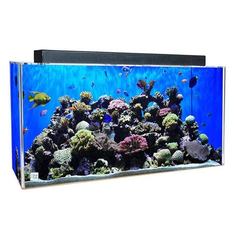 Clear For Life Rectangle 55 Gallon Acrylic Aquarium Fresh Or Saltwat