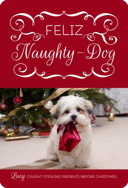 Looking for the best dog quotes and sayings? Funny Dog Quotes Golden Christmas. QuotesGram