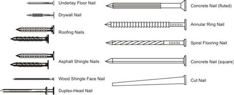 The 21 Main Types Of Nails The Ultimate Guide
