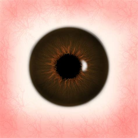 Brown Eye Texture By Jfreak86 On Deviantart