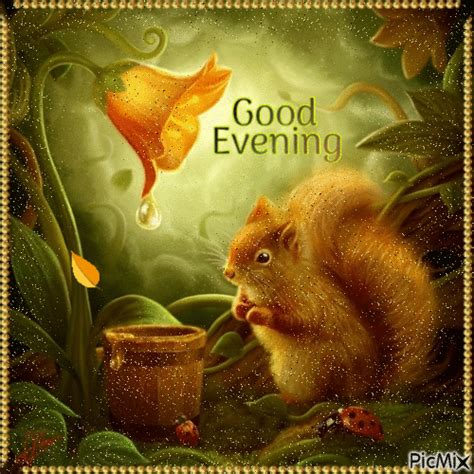 Good Evening Squirrel  Pictures Photos And Images For Facebook