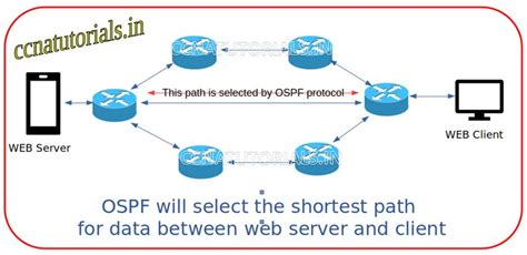 OSPF Open Shortest Path First Tutorial For CCNA CCNA TUTORIALS