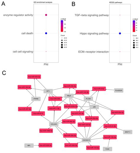 genes free full text identification of microrna expression profiles related to the